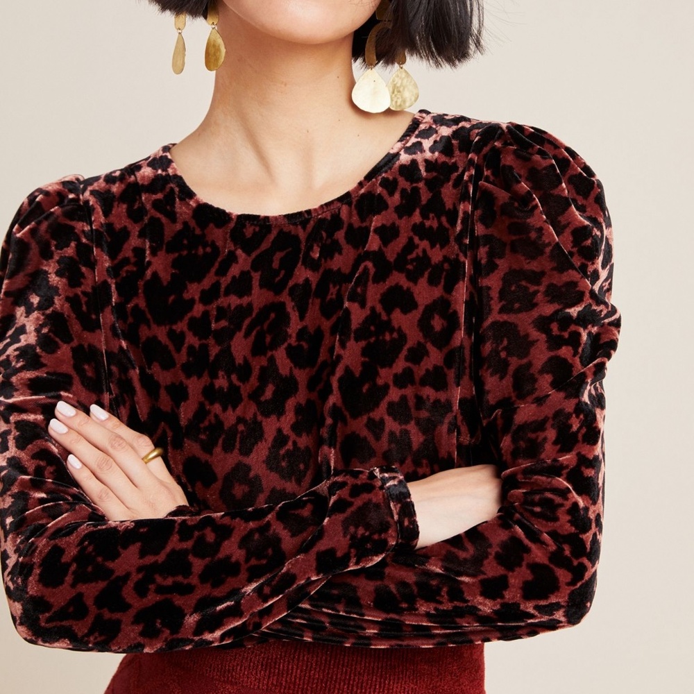 Dolan Anthropologie Charley Velvet Leopard Animal Print Long Sleeve Top Shirt XS - Picture 1 of 4